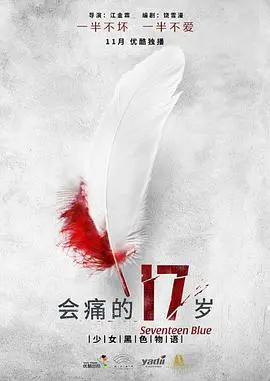 《会痛的17岁》：青春疼痛的真实写照，谁的十七岁不迷茫？